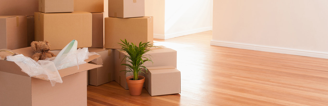 moving boxes inside empty home